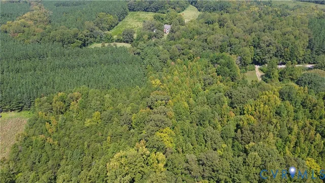 a view of a forest with a street