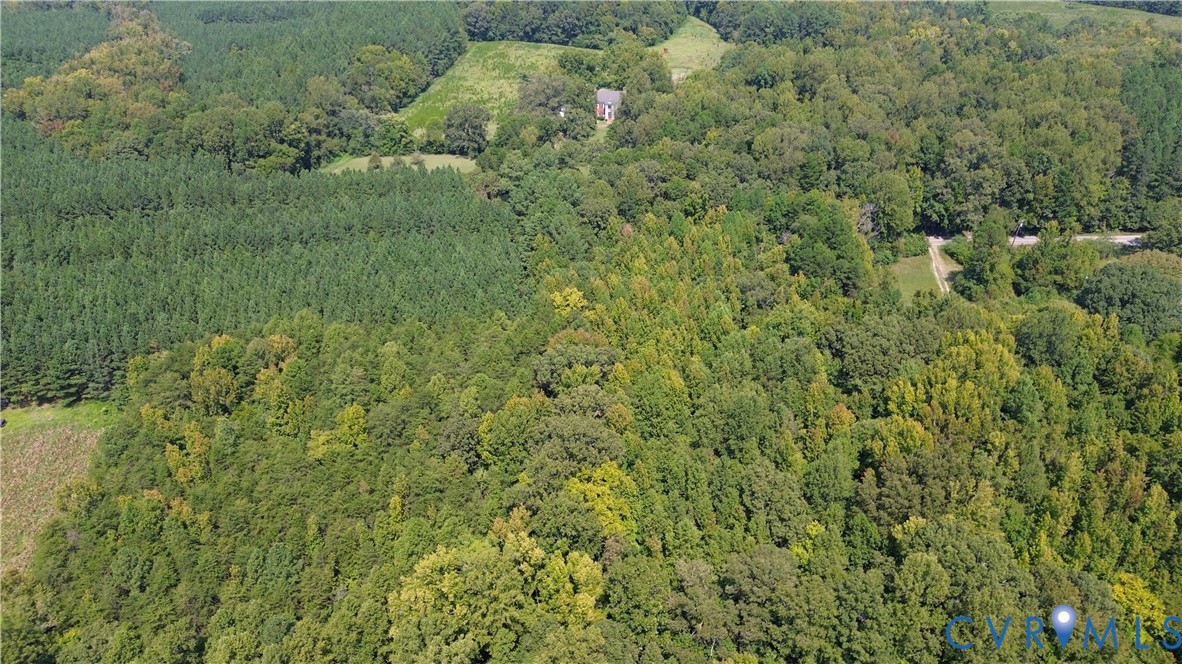 0 Bellevue Road Halifax, VA 24558 - Photo 10 of 12 a view of a forest with a street