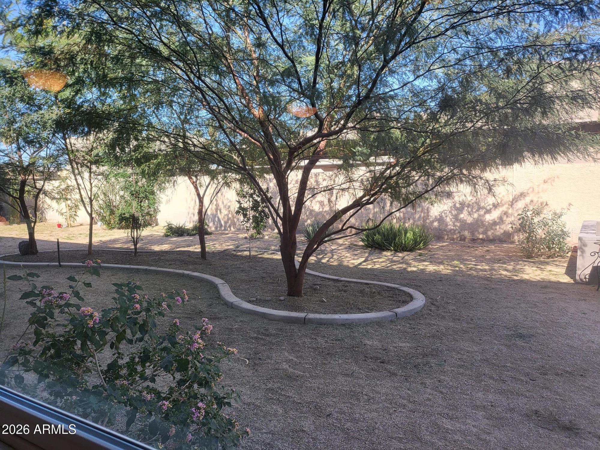 825 North Hayden Road, Unit C108 Scottsdale, AZ 85257 - Photo 23 of 34 a view of outdoor space with trees