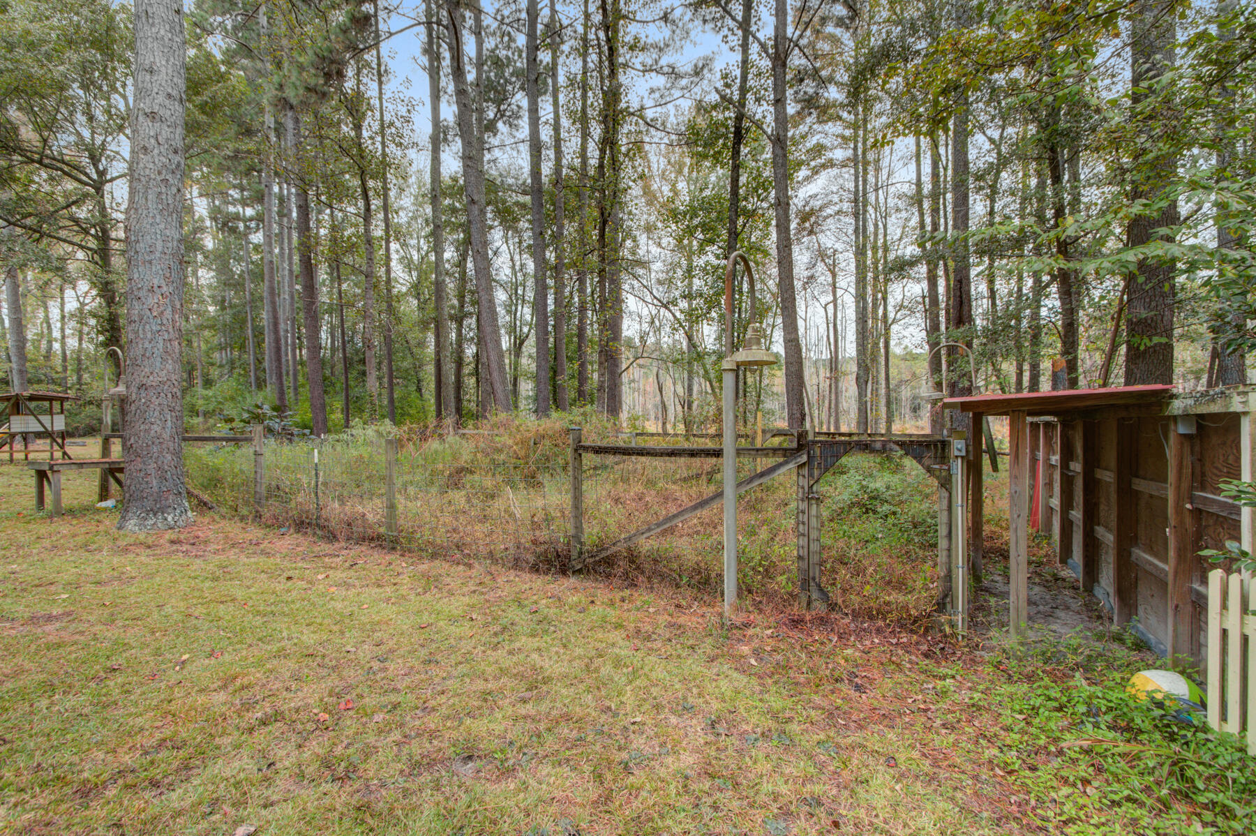 279 Limestone Road Orangeburg, SC 29118 - Photo 21 of 51 Gallery Image 21