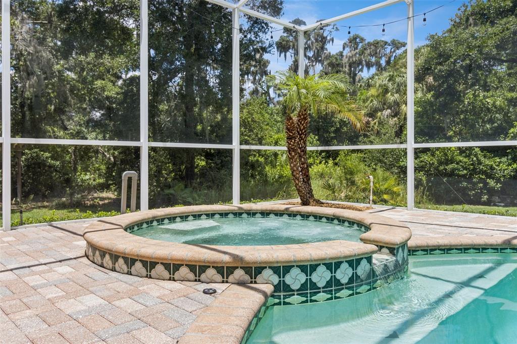 5002 Muir Way Lithia, FL 33547 - Photo 54 of 68
