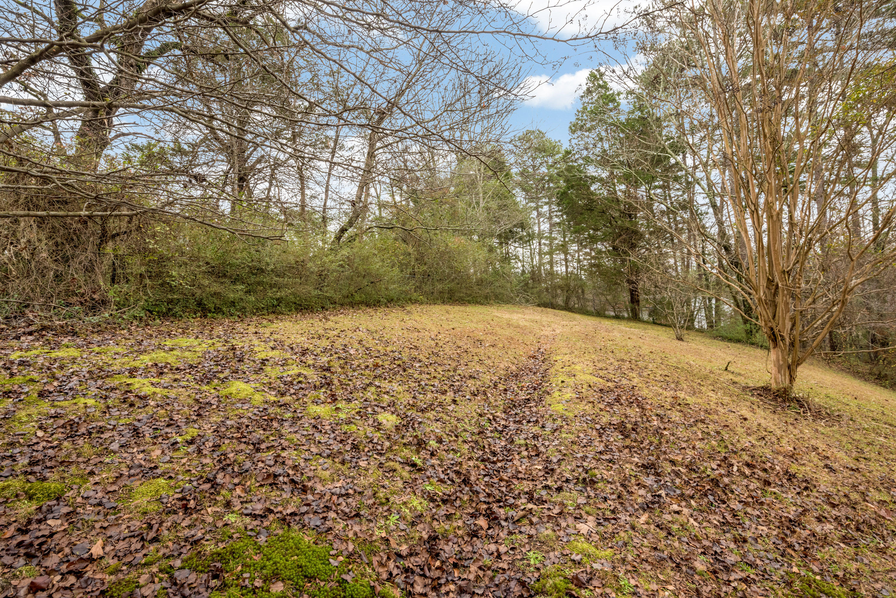 8005 Harper Road Hixson, TN 37343 - Photo 7 of 25 8005_Harper_Rd_07