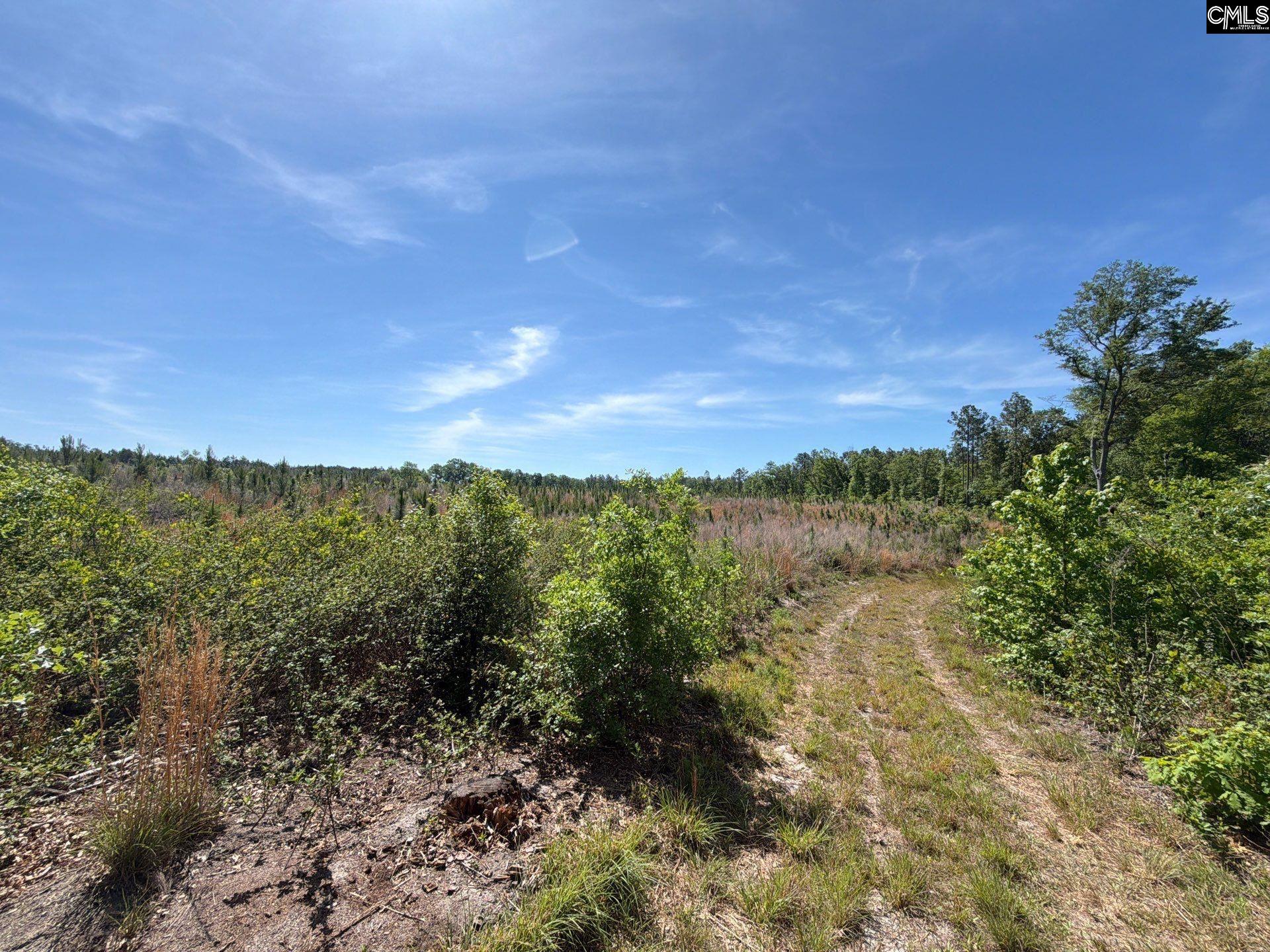 1 Holstein Road Monetta, SC 29105 - Photo 13 of 36