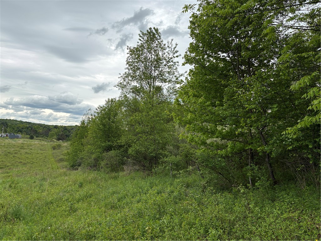 36 County Road Guilford, NY 13780 - Photo 29 of 38