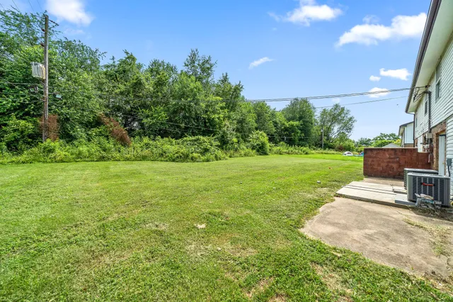 a view of a park with large trees