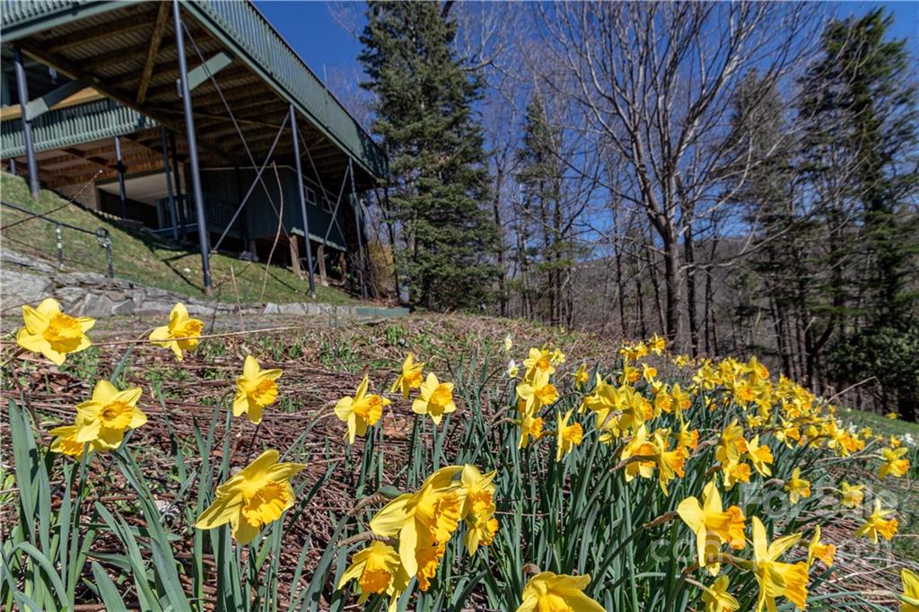 331 Strawberry Ridge Road Spruce Pine, NC 28777 - Photo 36 of 46 Gallery Image 36