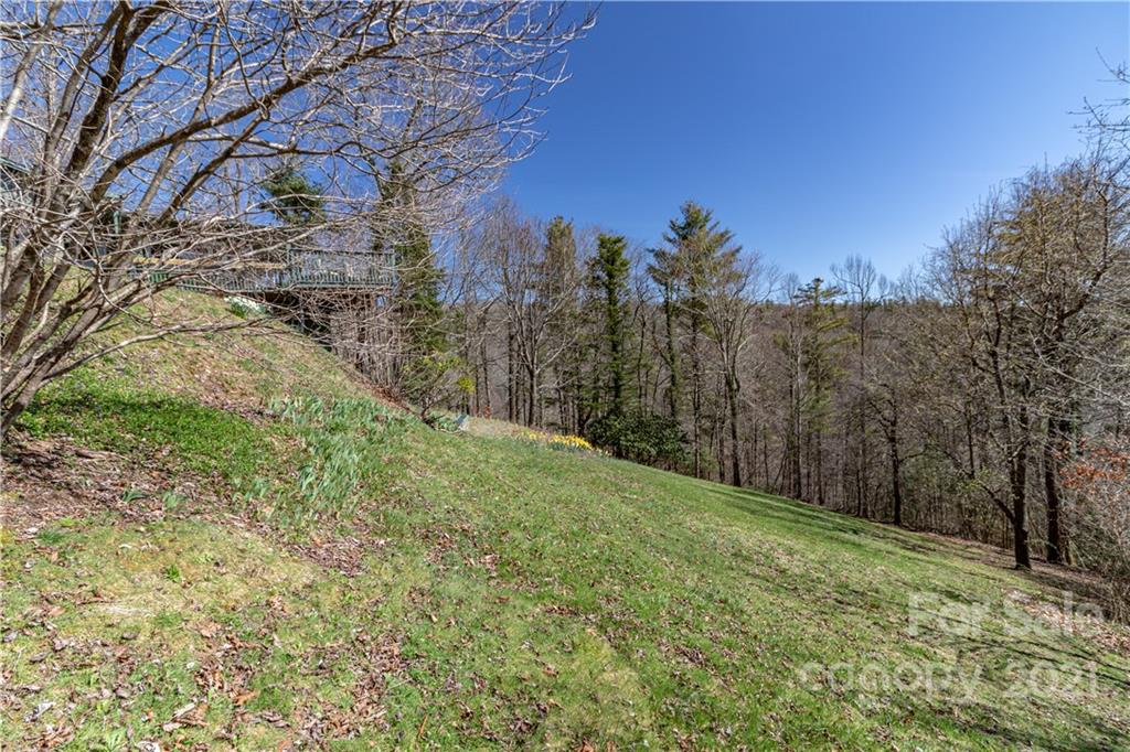 331 Strawberry Ridge Road Spruce Pine, NC 28777 - Photo 37 of 46 Gallery Image 37