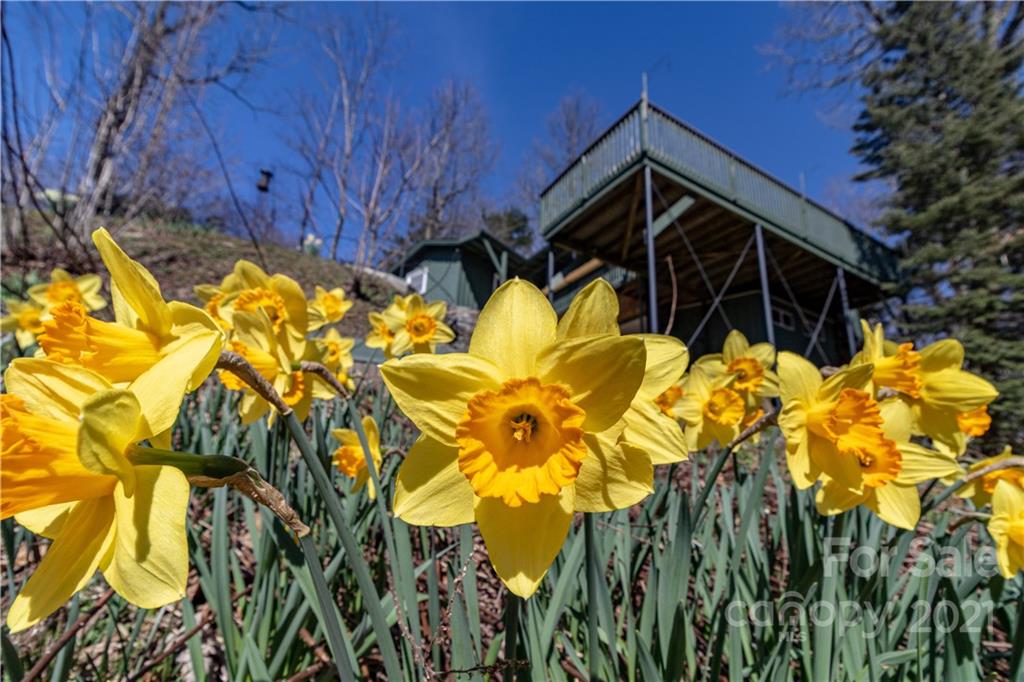 331 Strawberry Ridge Road Spruce Pine, NC 28777 - Photo 46 of 46 Gallery Image 46