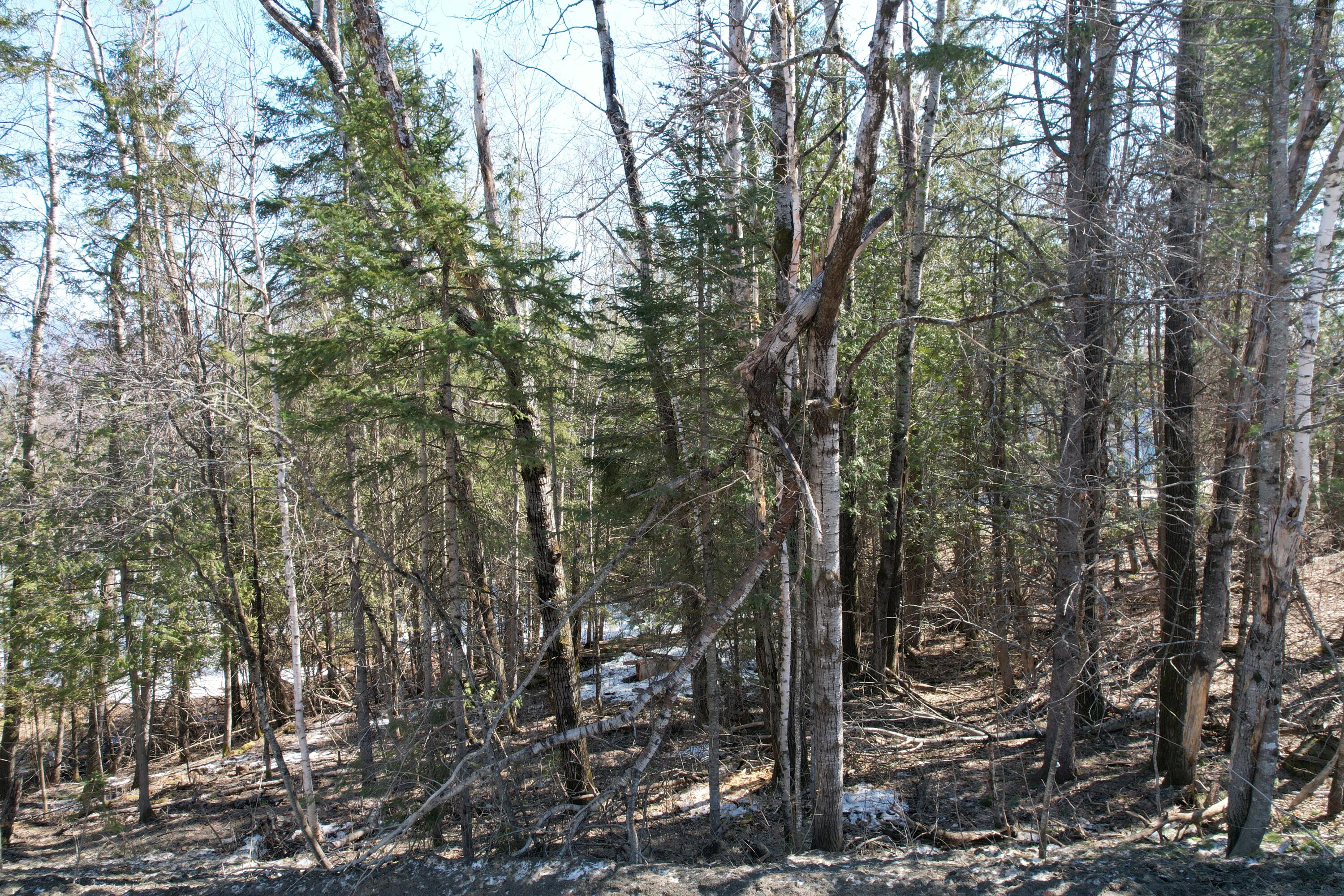 Tbd Caldwell Road Eustis, ME 04936 - Photo 12 of 16 DJI_0944