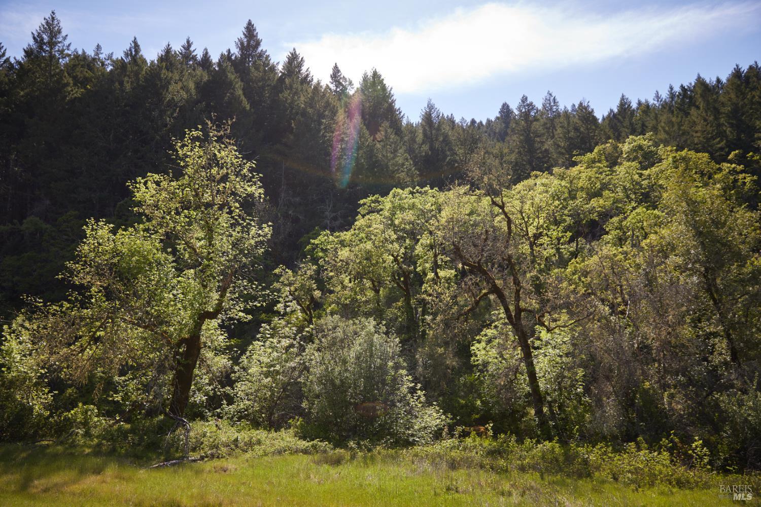10850 Tomki Road Redwood Valley, CA 95470 - Photo 11 of 22