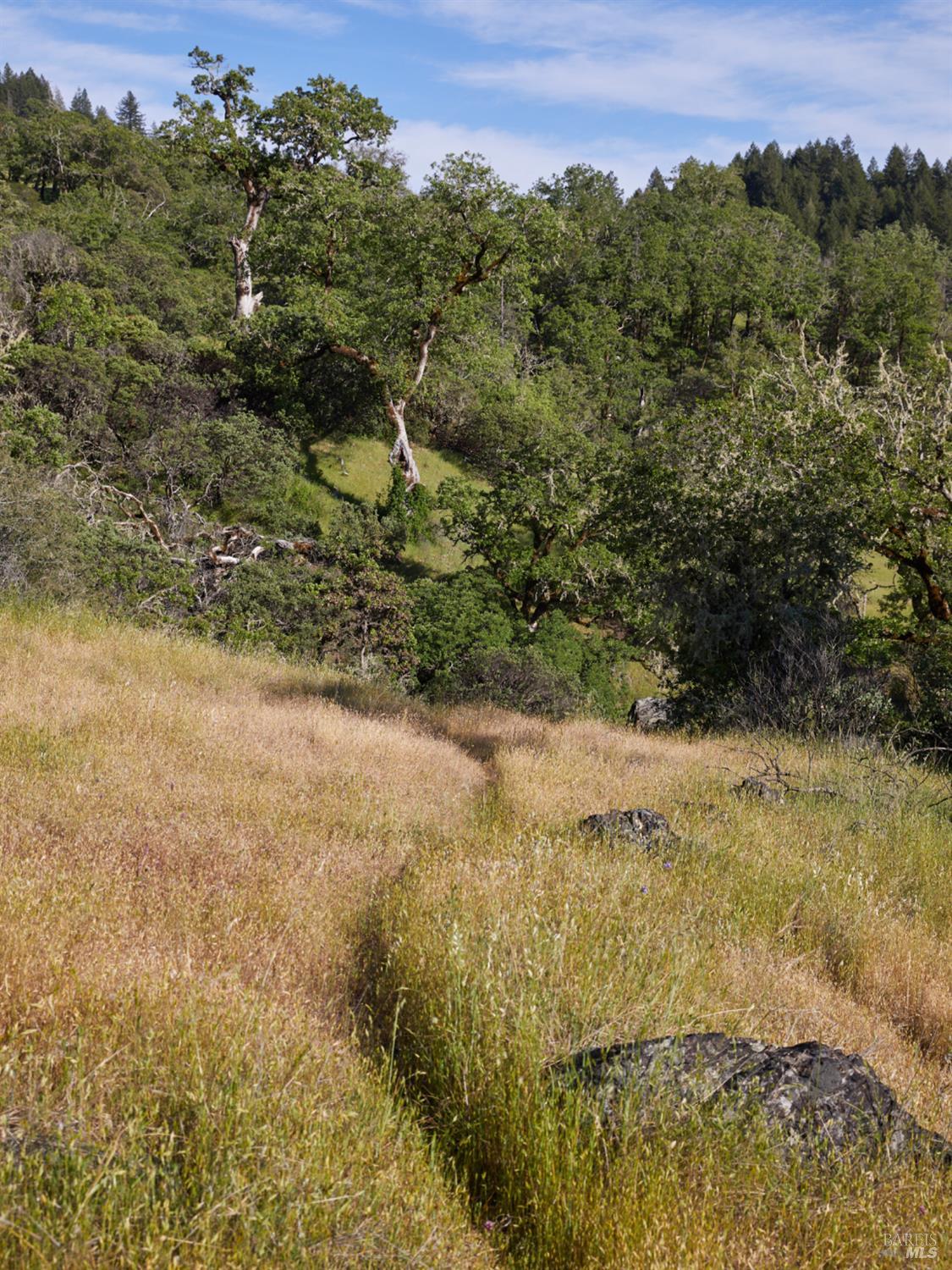 10850 Tomki Road Redwood Valley, CA 95470 - Photo 16 of 22