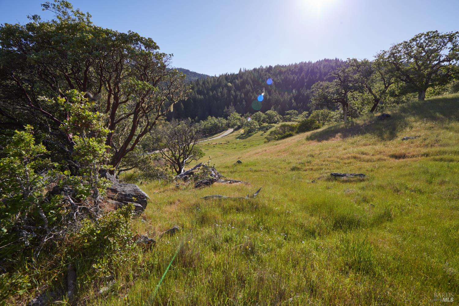 10850 Tomki Road Redwood Valley, CA 95470 - Photo 18 of 22
