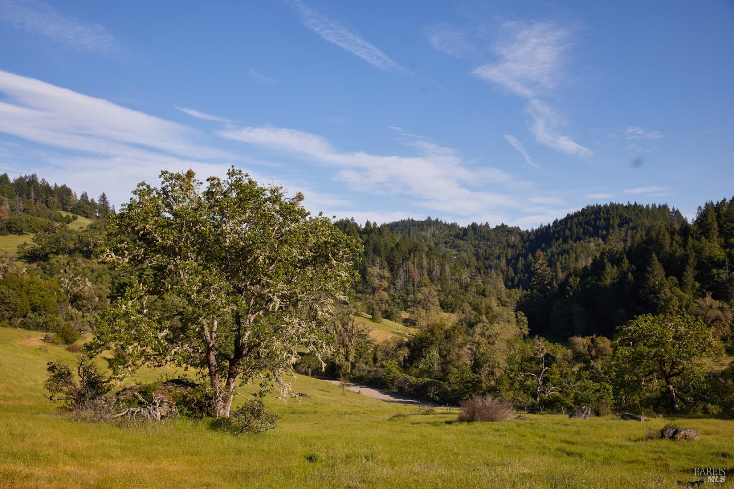 10850 Tomki Road Redwood Valley, CA 95470 - Photo 19 of 22