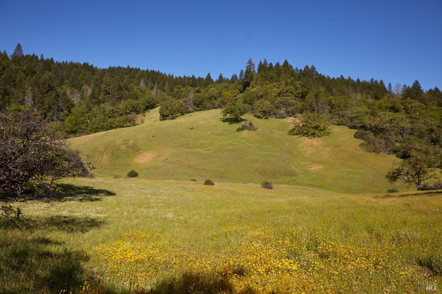 10850 Tomki Road Redwood Valley, CA 95470 - Photo 7 of 22