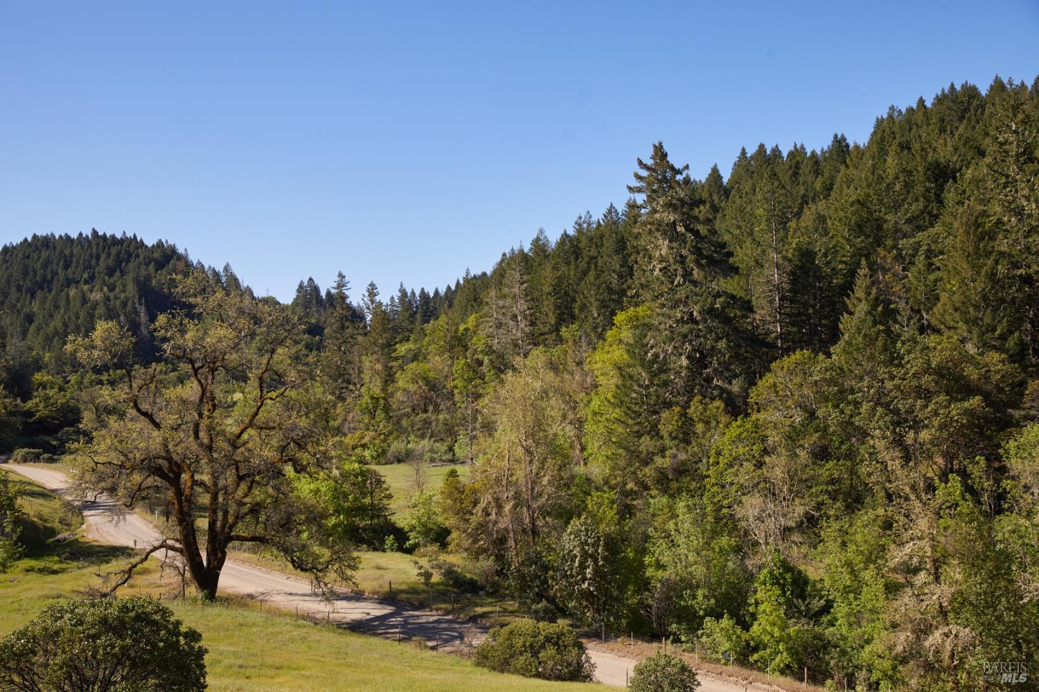 10850 Tomki Road Redwood Valley, CA 95470 - Photo 8 of 22