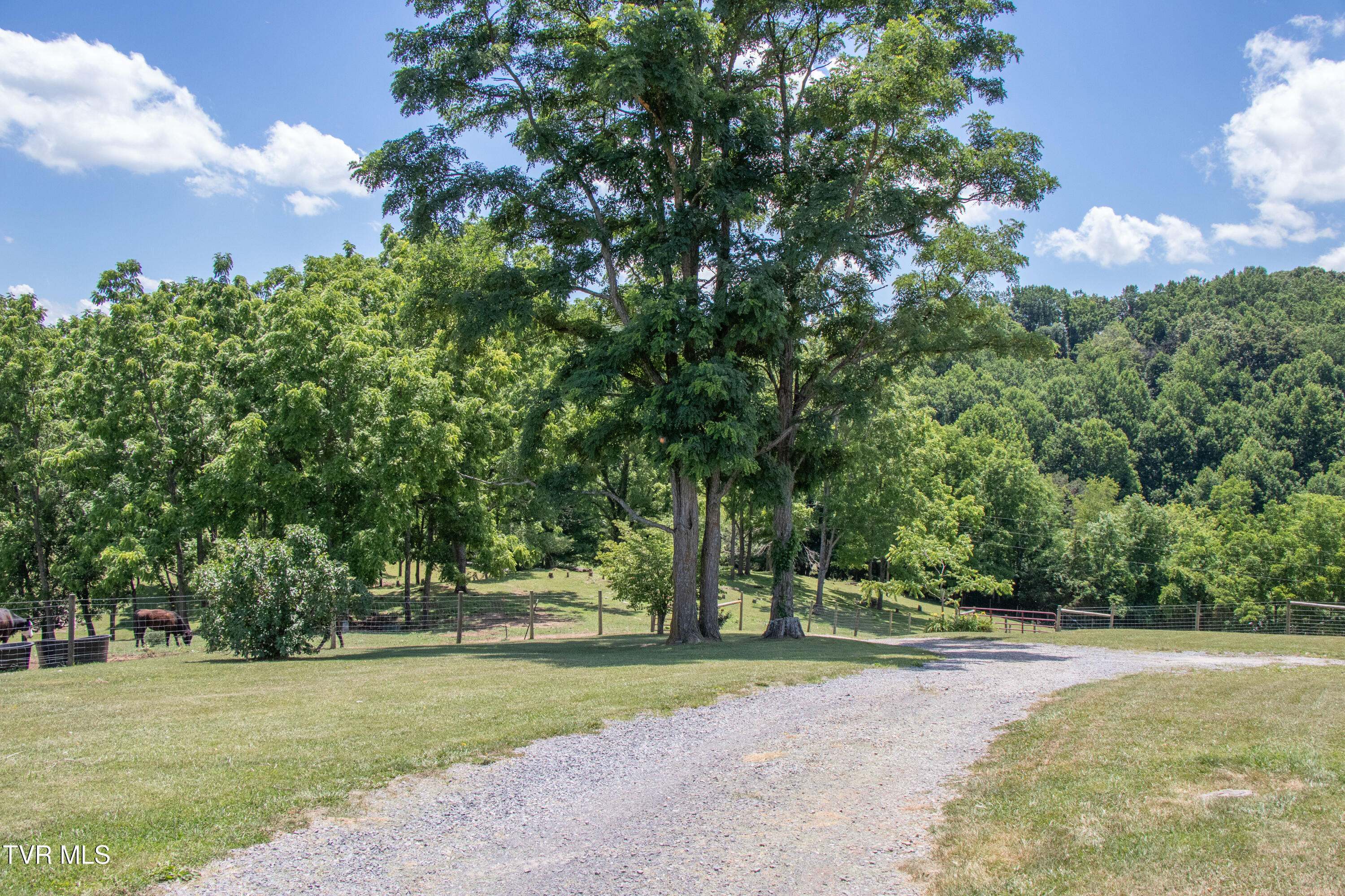 27069 Northridge Road Meadowview, VA 24361 - Photo 21 of 61 Northridge-21