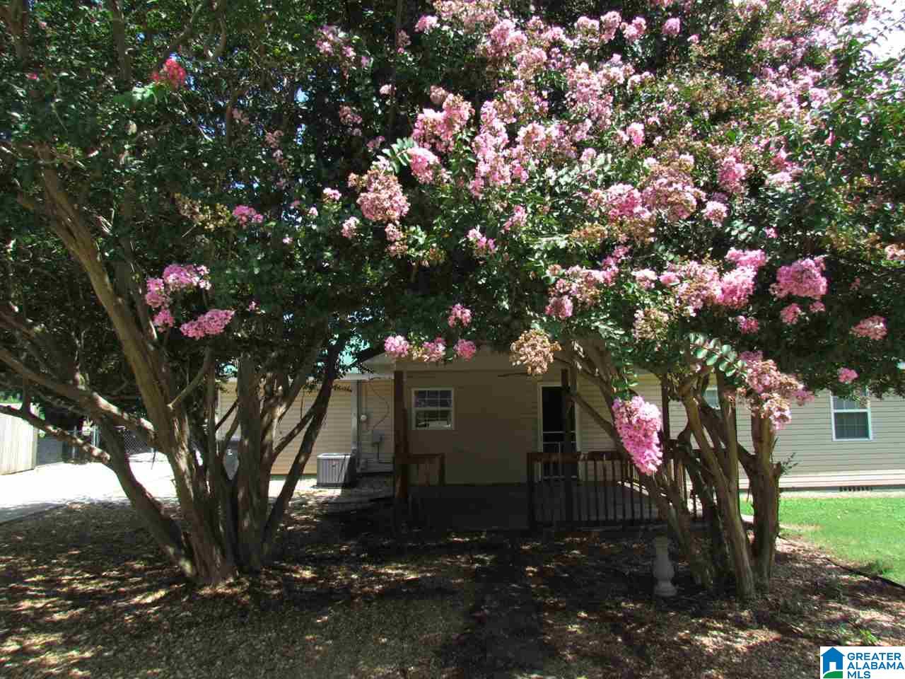 205 King Street Centre, AL 35960 - Photo 37 of 38