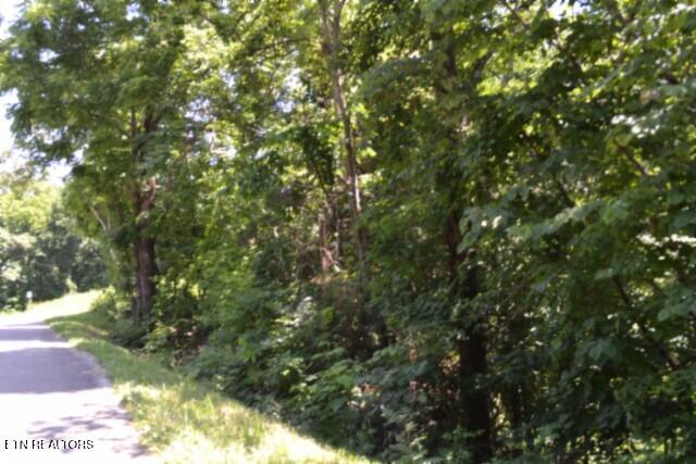 2390 Pea Ridge Fire Tower Road Celina, TN 38551 - Photo 41 of 58 DSC_0134