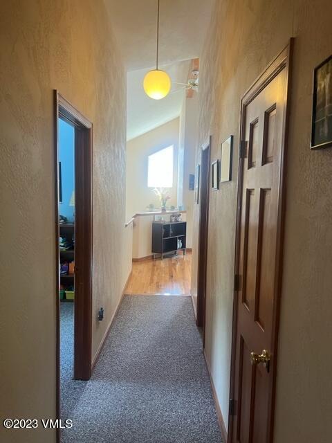 6 Ringneck Eagle, CO 81631 - Photo 33 of 50