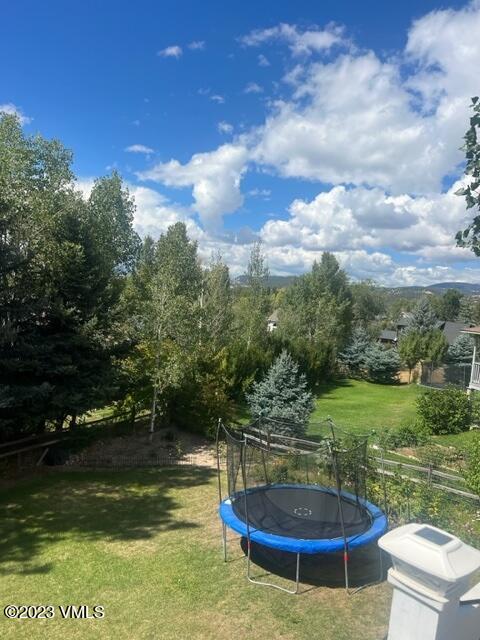 6 Ringneck Eagle, CO 81631 - Photo 9 of 50 a view of a swimming pool and a yard