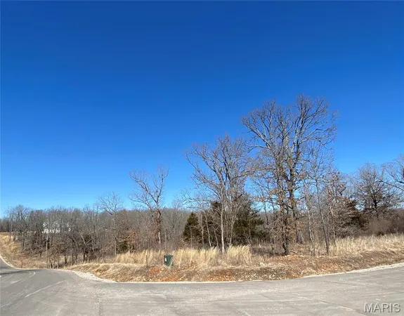 $52,500 | 0 Lot 11 Promise Drive, Lebanon, MO 65536