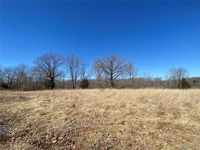 $52,500 | 0 Lot 11 Promise Drive, Lebanon, MO 65536