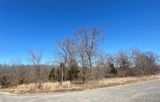 $52,500 | 0 Lot 11 Promise Drive, Lebanon, MO 65536