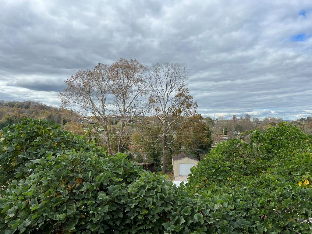 330 East 2nd Street Blue Ridge, GA 30513 - Photo 27 of 31