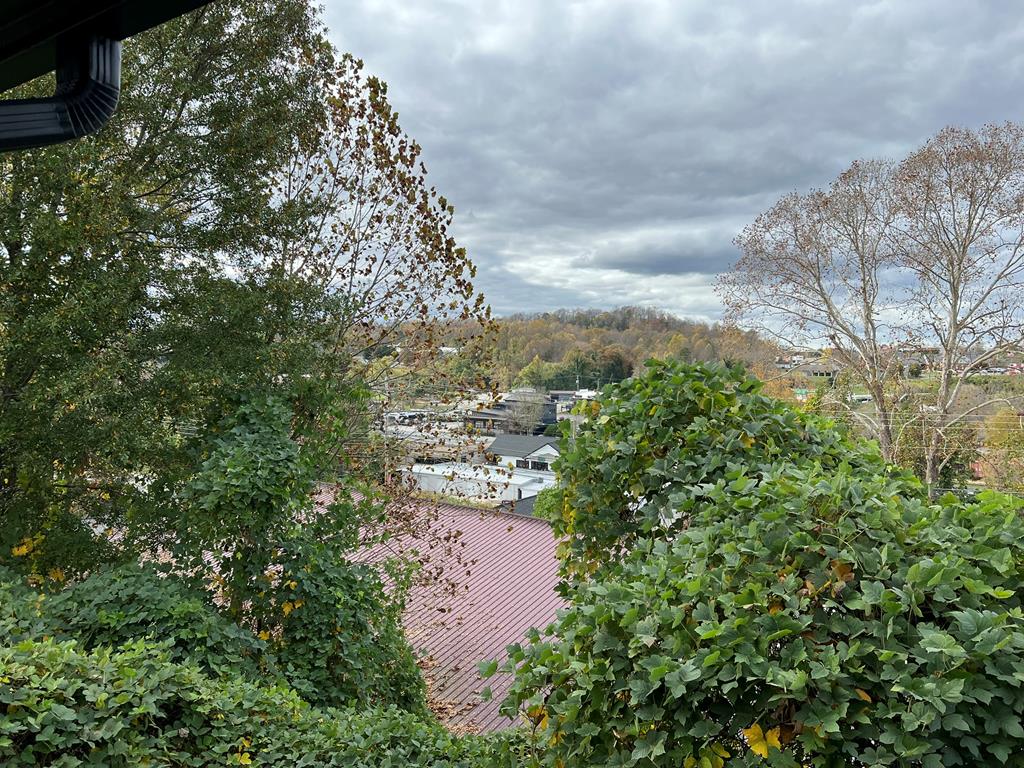 330 East 2nd Street Blue Ridge, GA 30513 - Photo 28 of 31