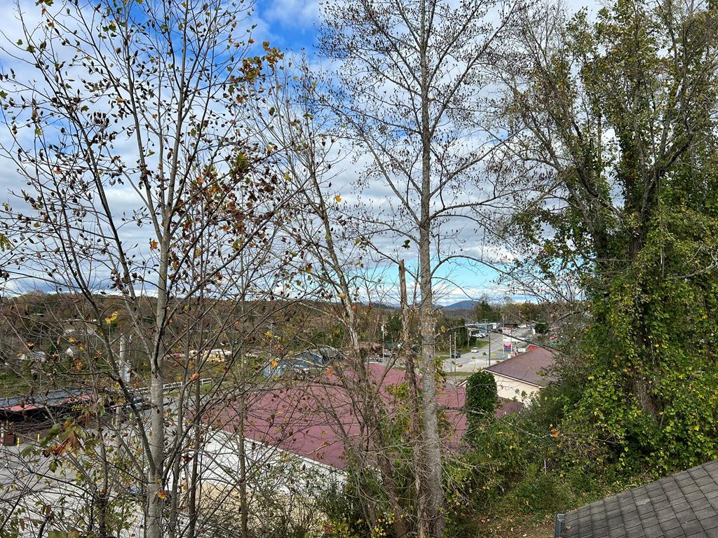 330 East 2nd Street Blue Ridge, GA 30513 - Photo 29 of 31