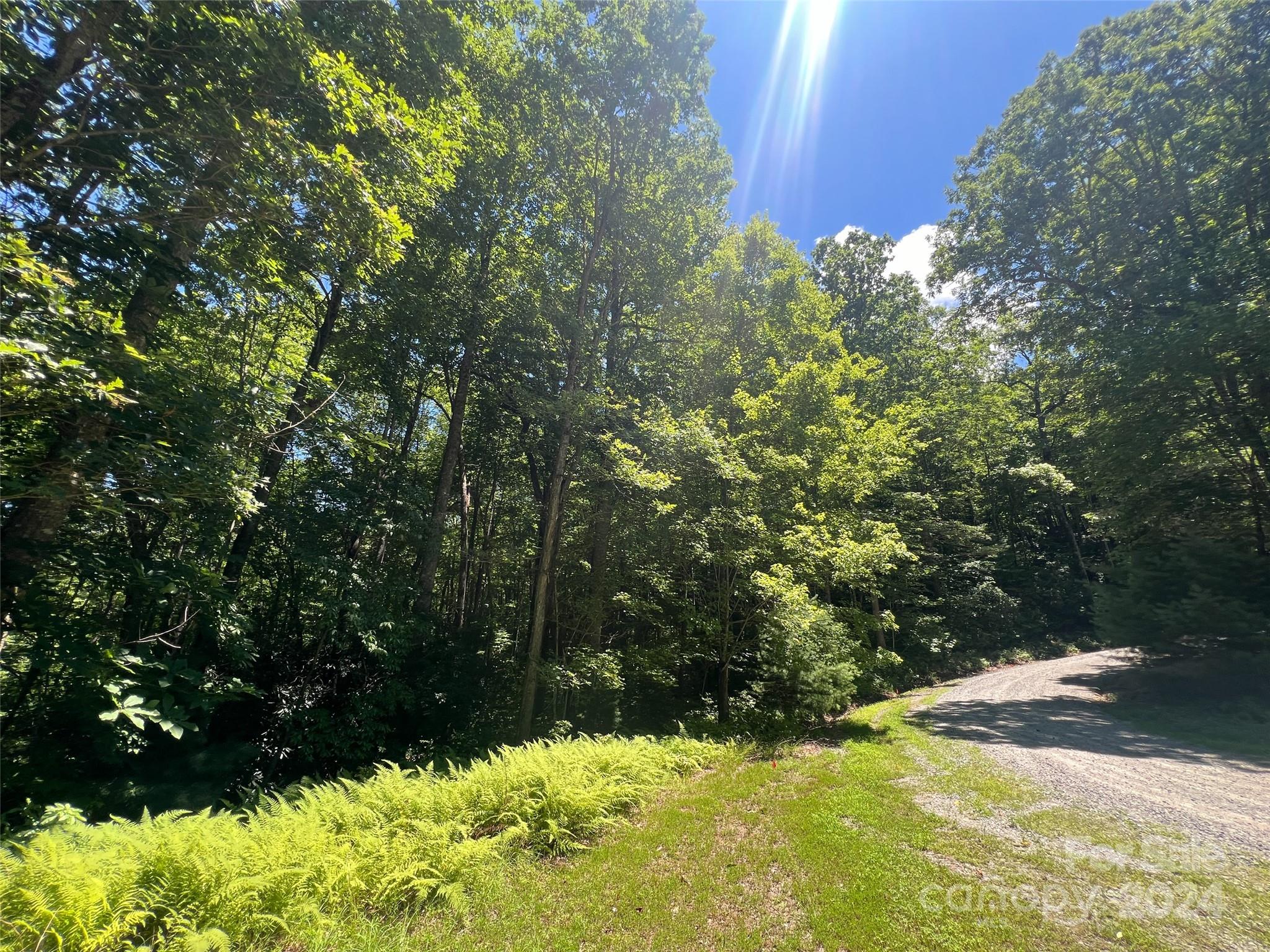 0 Courtney Court Brevard, NC 28712 - Photo 11 of 13 a view of a yard