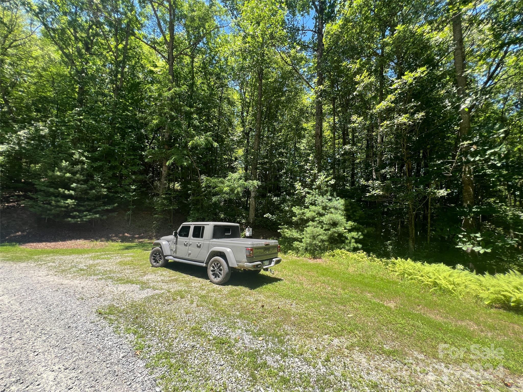 0 Courtney Court Brevard, NC 28712 - Photo 12 of 13 a car parked in the middle of a yard