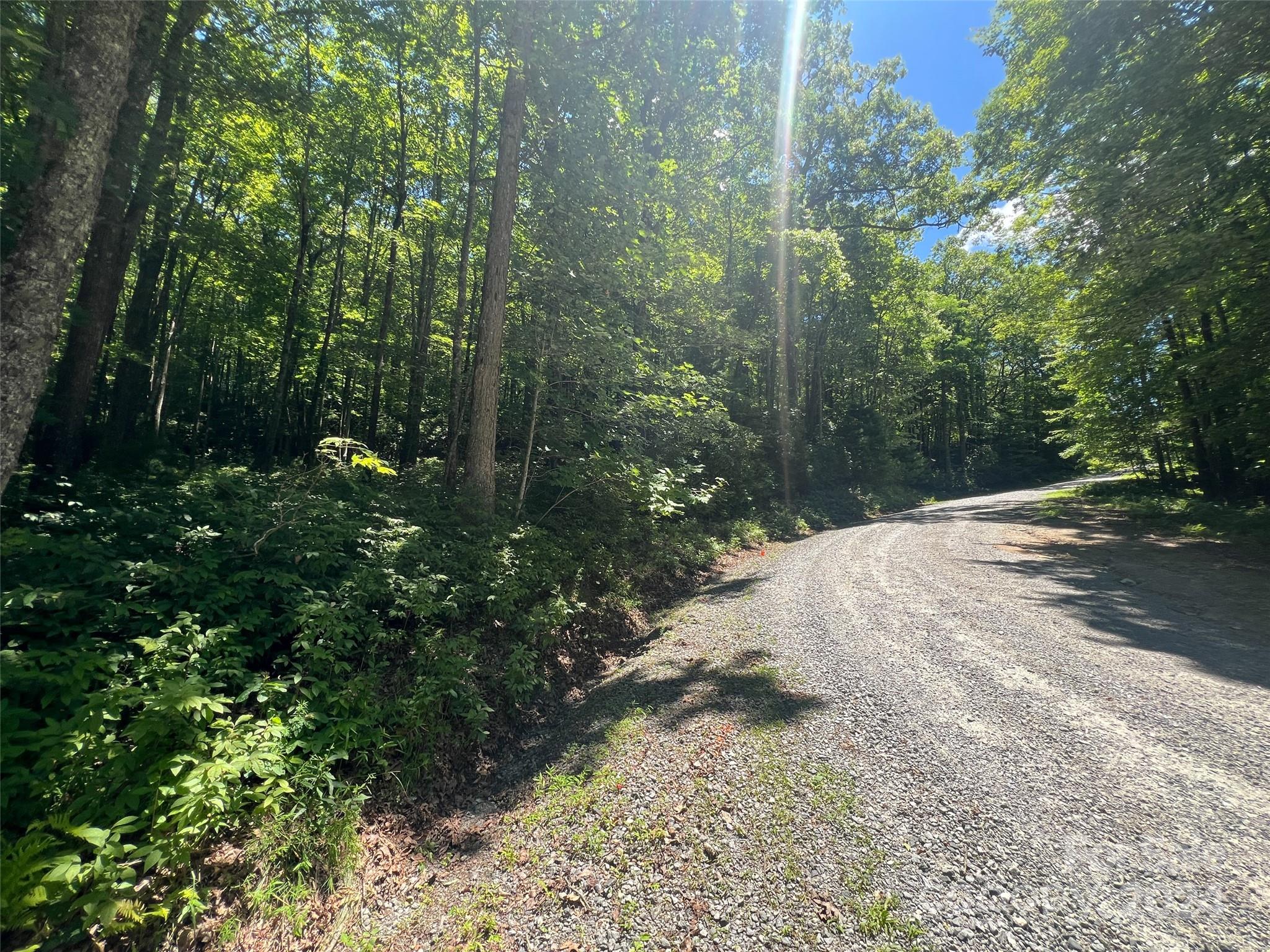 0 Courtney Court Brevard, NC 28712 - Photo 9 of 13 a view of a road with plants and trees