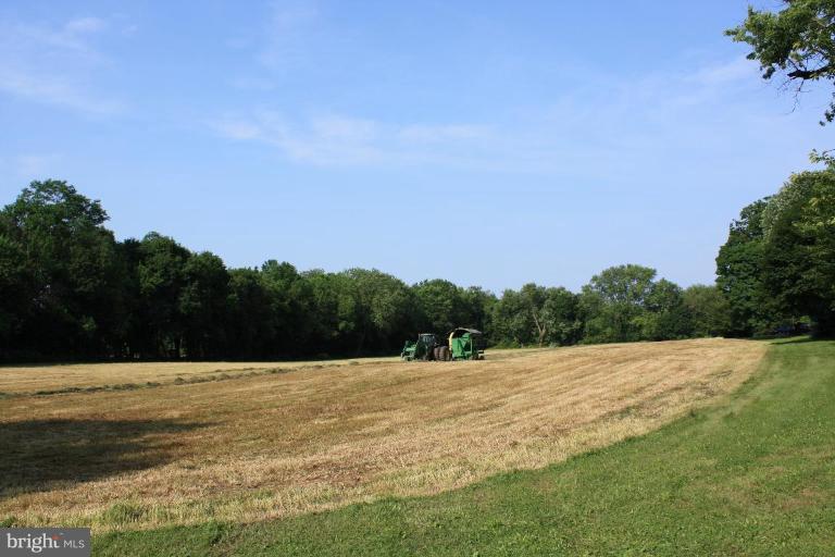 13710 Baldwin Mill Road Baldwin, MD 21013 - Photo 14 of 25 Field of timothy