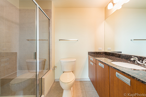 225 South Sangamon Street, Unit 411 Chicago, IL 60607 - Photo 17 of 21