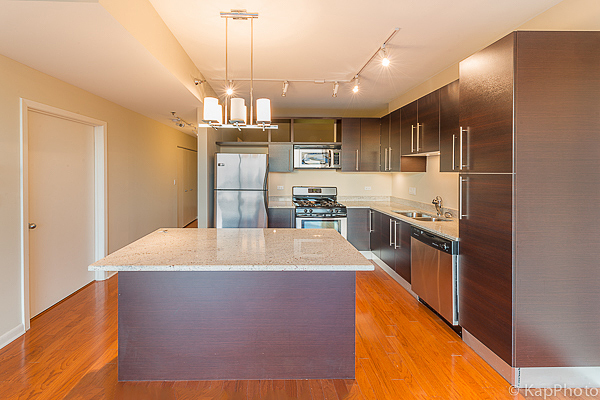 225 South Sangamon Street, Unit 411 Chicago, IL 60607 - Photo 2 of 21