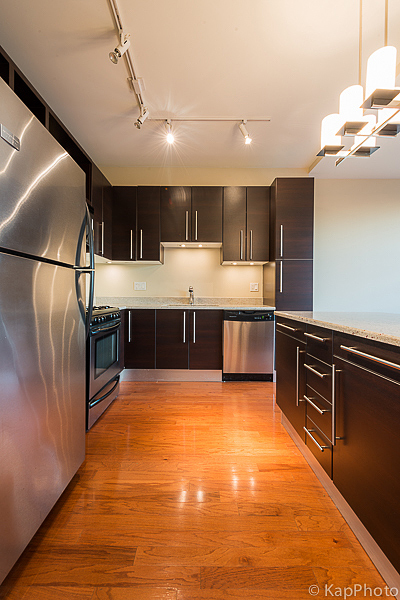 225 South Sangamon Street, Unit 411 Chicago, IL 60607 - Photo 3 of 21