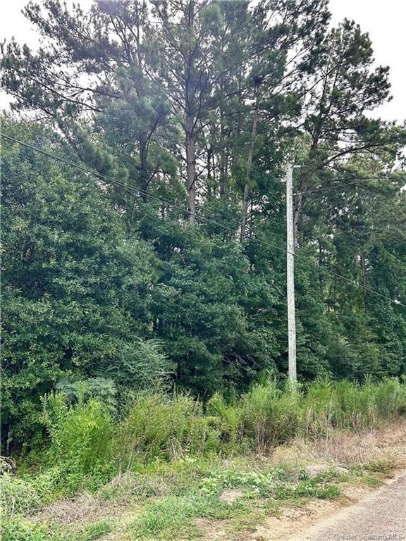 1275 Virgil Sims Road Deridder, LA 70634 - Photo 3 of 3