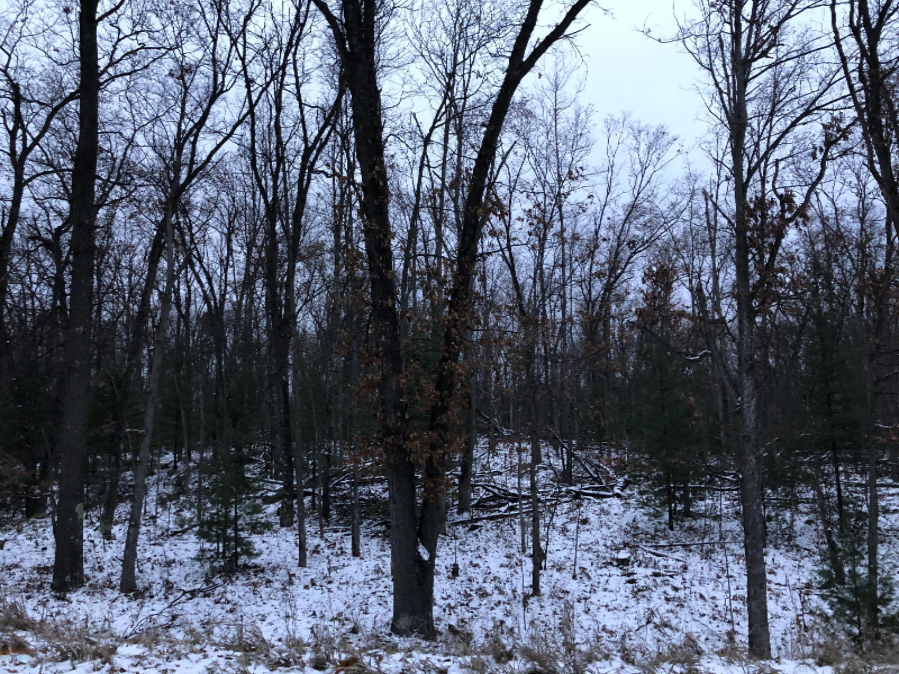 Fawn Road Wellston, MI 49689 - Photo 18 of 20 IMG_3910
