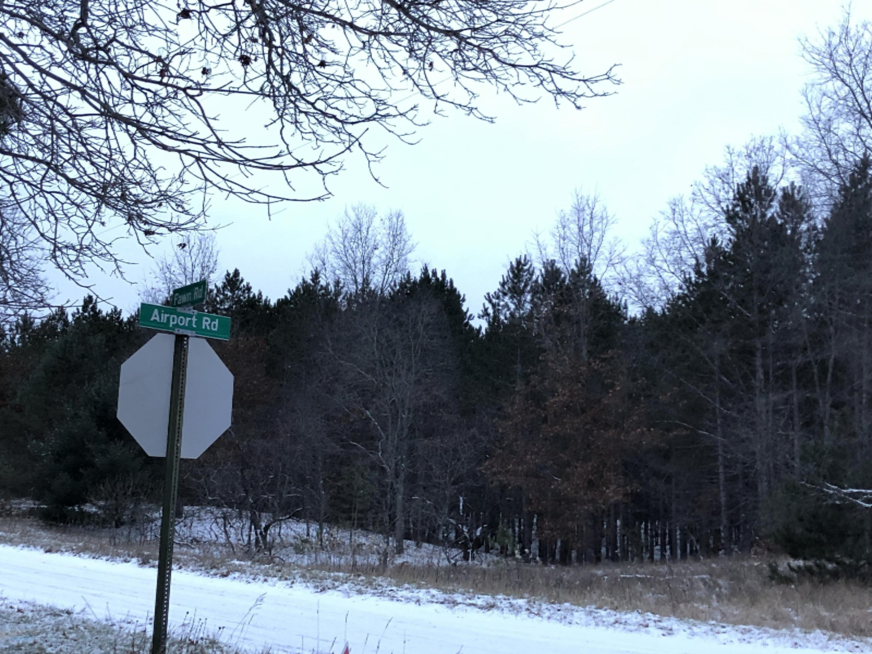 Fawn Road Wellston, MI 49689 - Photo 10 of 20 IMG_3902