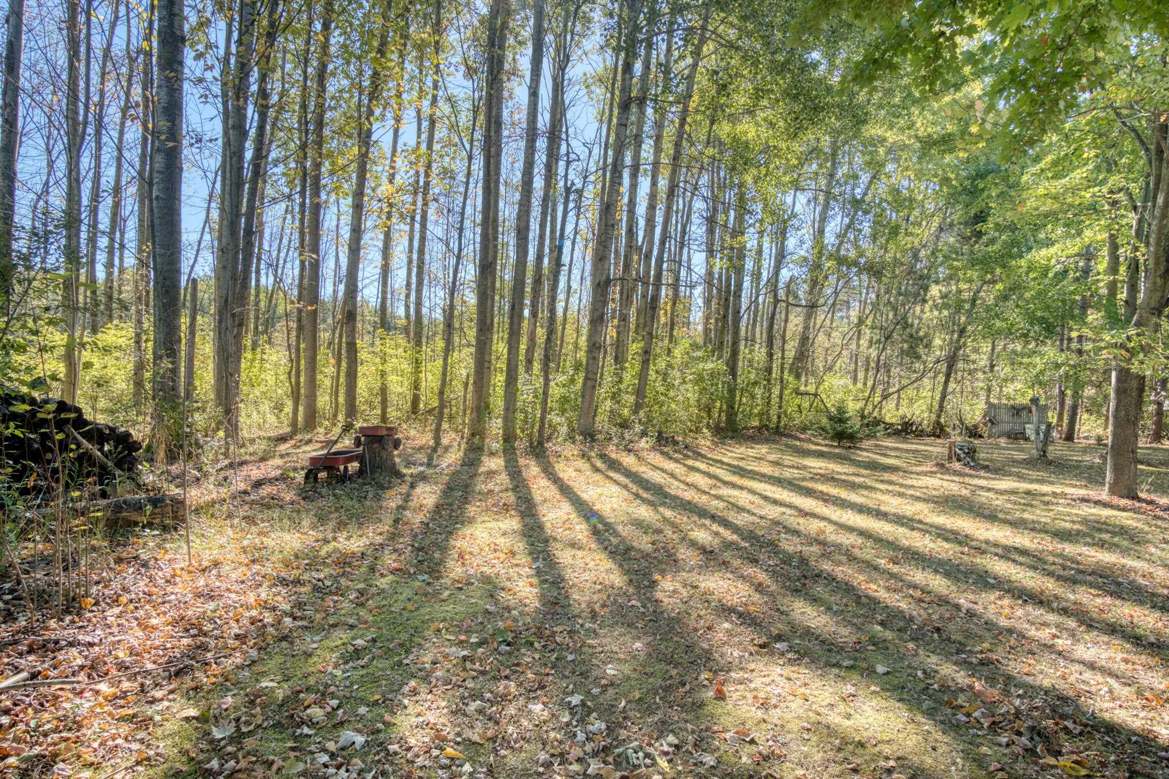 2309 South Sherman Road Remus, MI 49340 - Photo 34 of 73