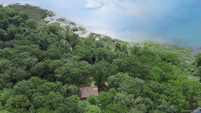 an aerial view of a house with a lush green forest