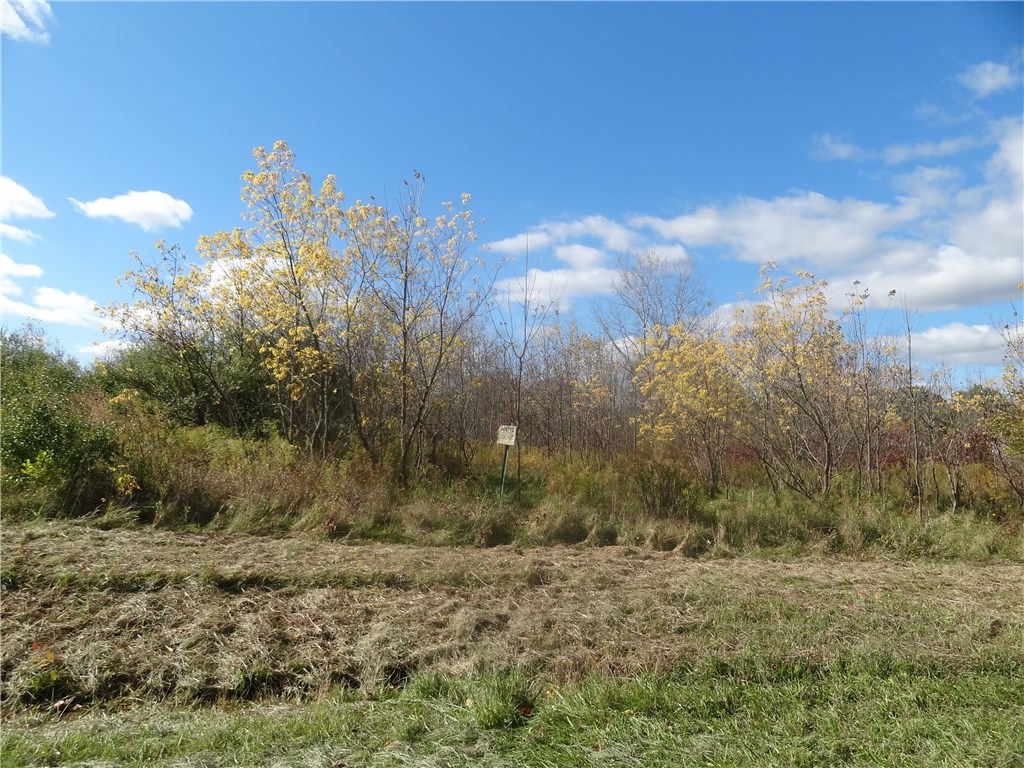 159 Betteridge Road Riga, NY 14428 - Photo 1 of 1 Gallery Image 1