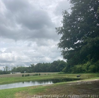 8338 Clinton Road Stedman, NC 28391 - Photo 12 of 32 Gallery Image 12