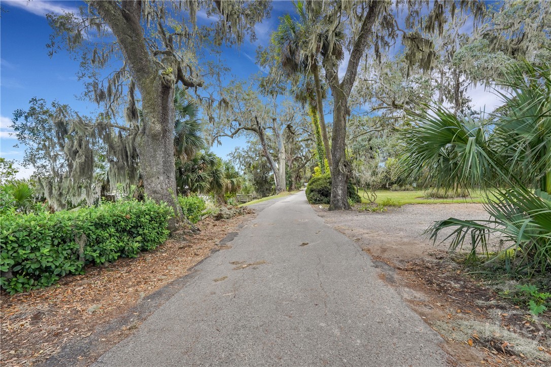 145 Cardinal Road Savannah, GA 31406 - Photo 44 of 50 Gallery Image 44