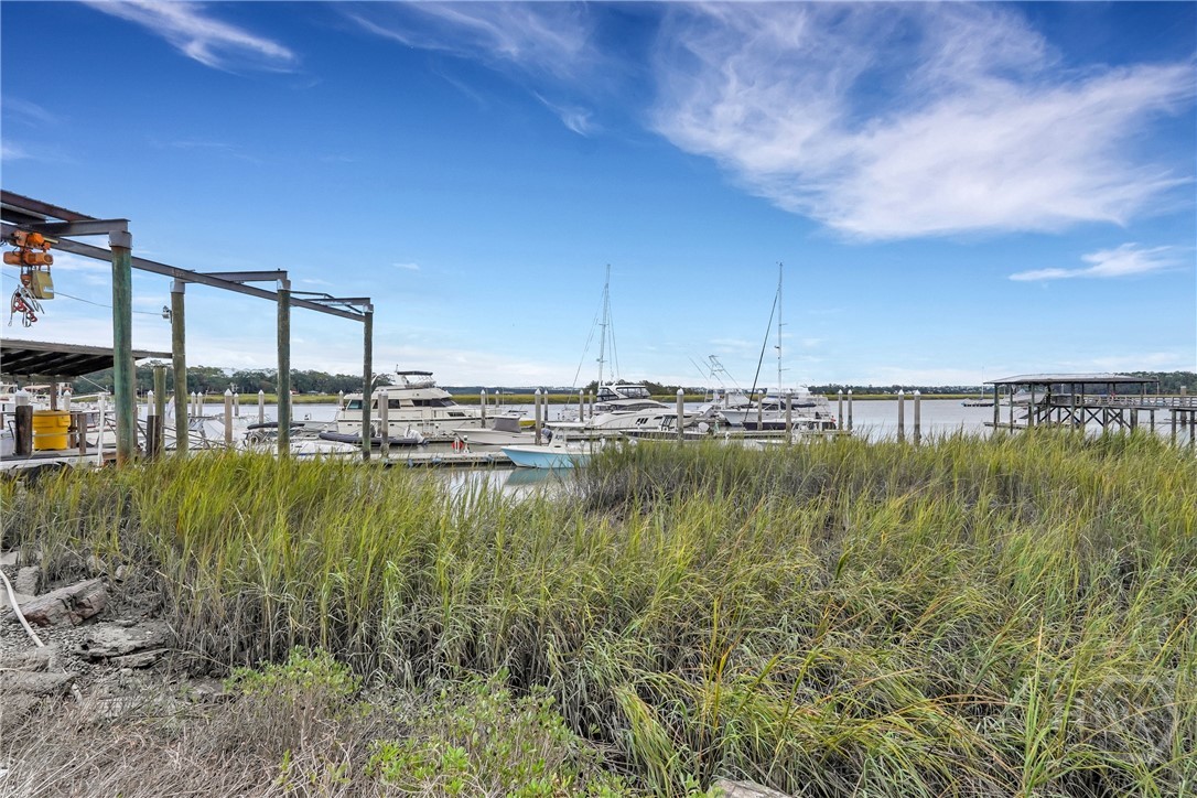 145 Cardinal Road Savannah, GA 31406 - Photo 48 of 50 Gallery Image 48