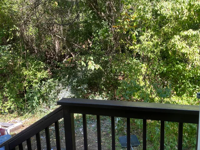 a view of a balcony with wooden floor