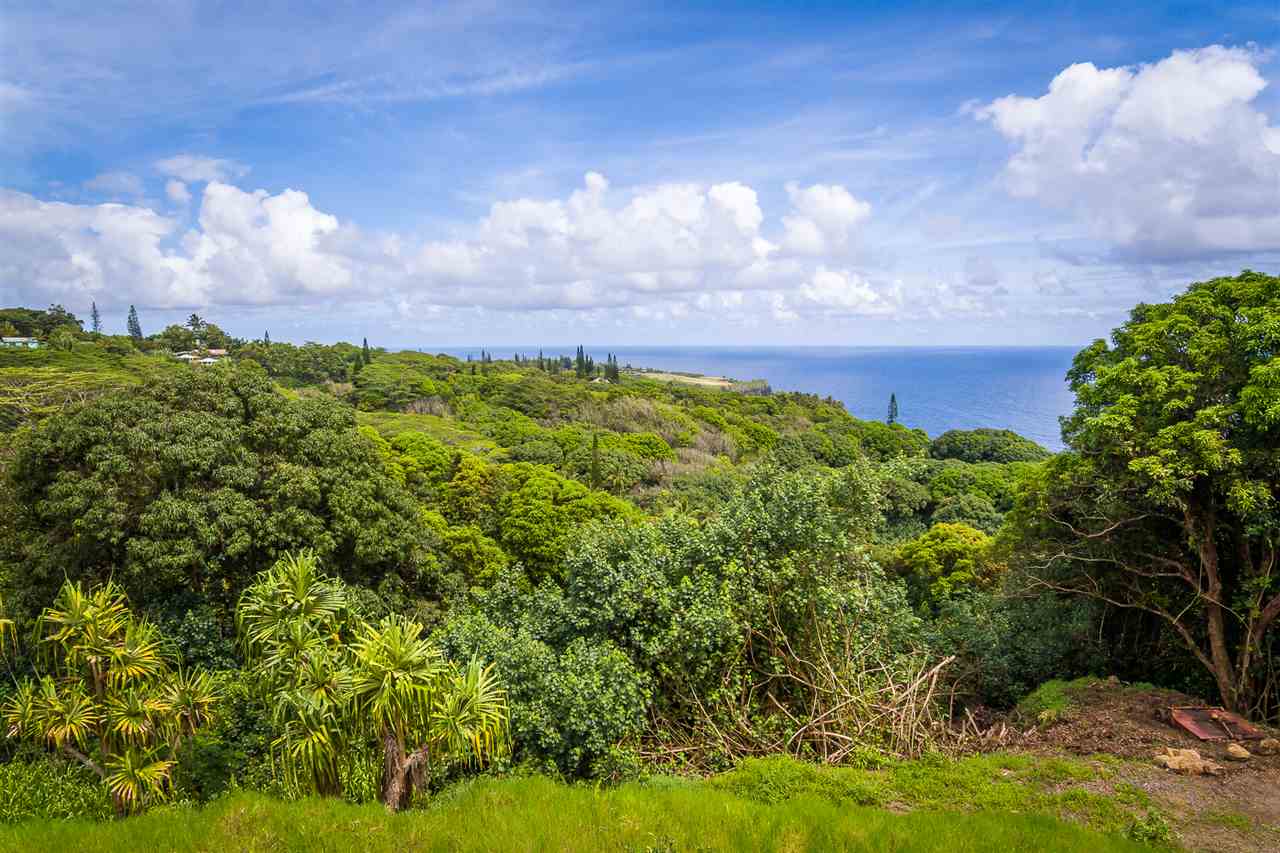 363 Hanauana Road, Unit 2 Haiku, HI 96708 - Photo 3 of 23 a view of a bunch of trees in background