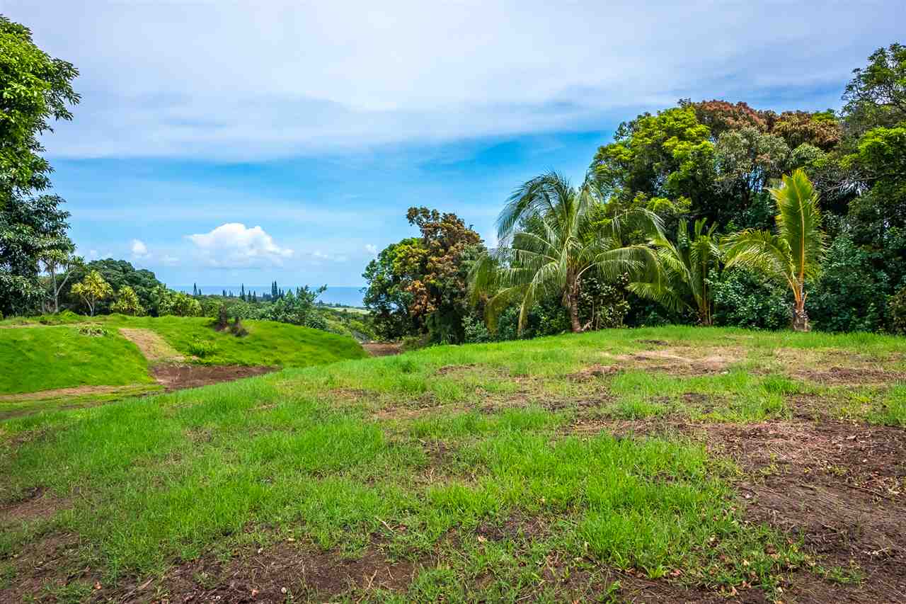 363 Hanauana Road, Unit 2 Haiku, HI 96708 - Photo 5 of 23 a view of a garden with an tree