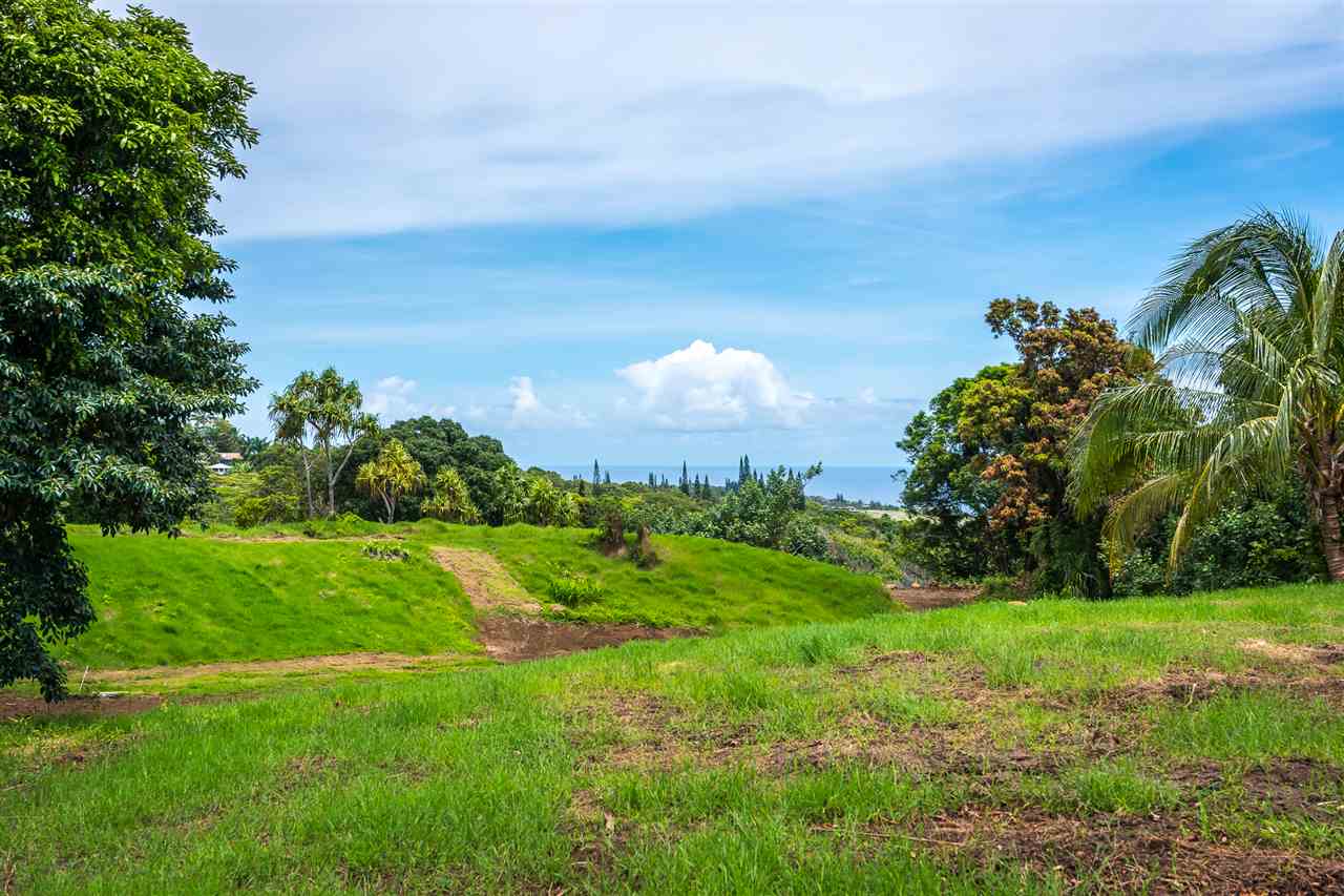 363 Hanauana Road, Unit 2 Haiku, HI 96708 - Photo 6 of 23 a view of a big yard with a large tree and plants